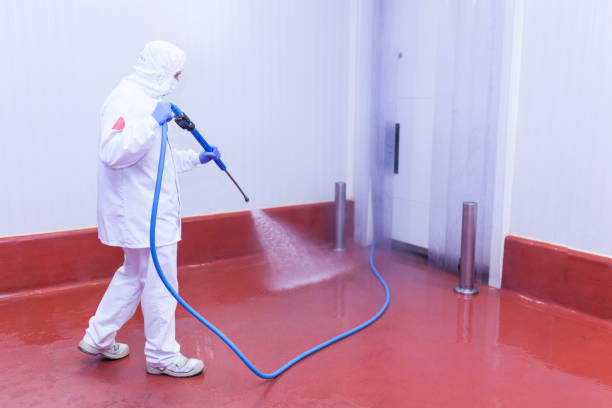Best Roof Washing  in Lake Dunlap, TX