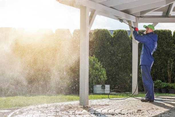 Best Sidewalk and Walkway Cleaning  in Lake Dunlap, TX